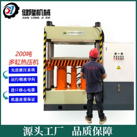 200噸伺服雙缸熱（rè）固成型液壓機